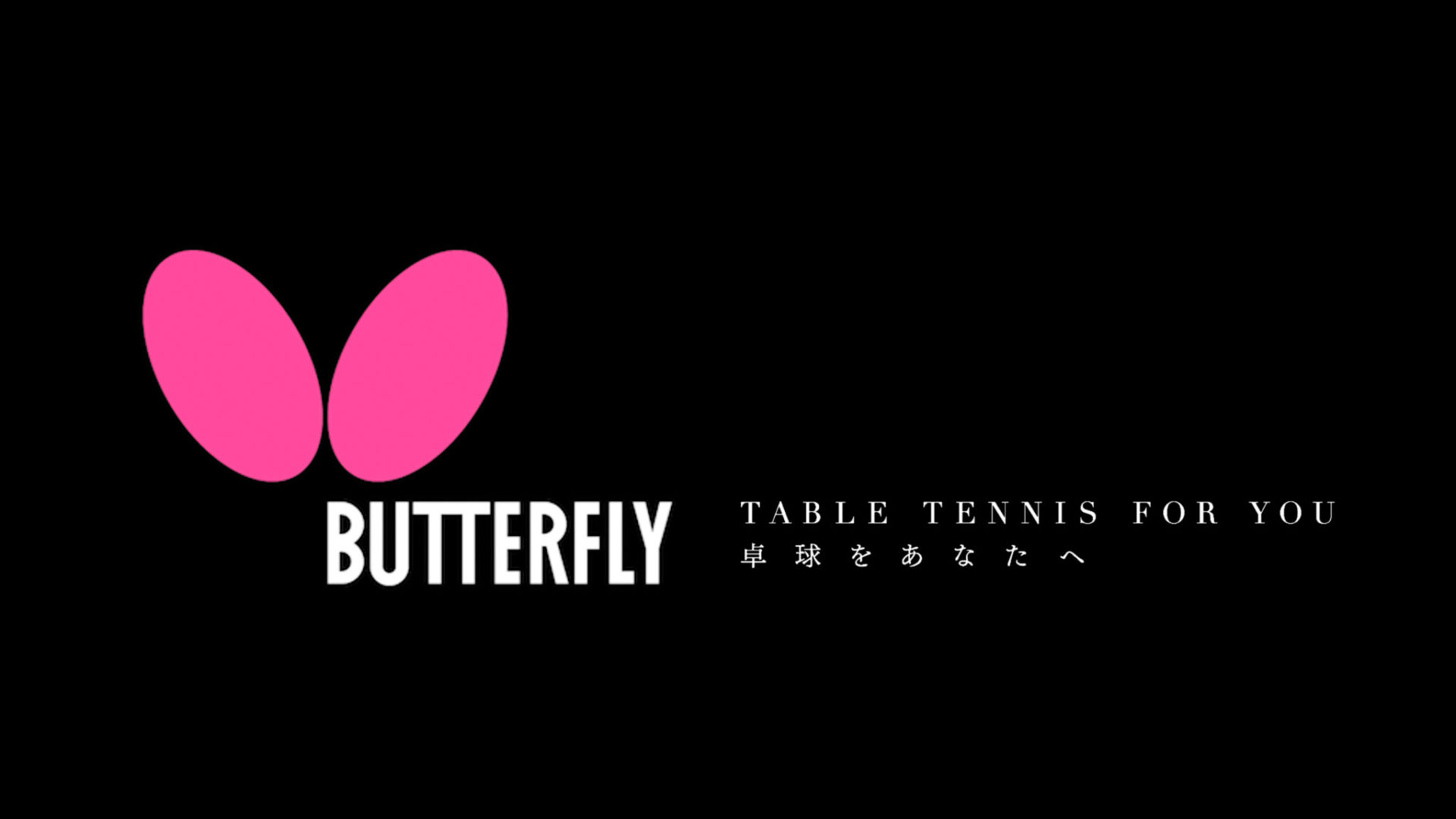 Tamasu Co Ltd Butterfly Quality Bird And Insect