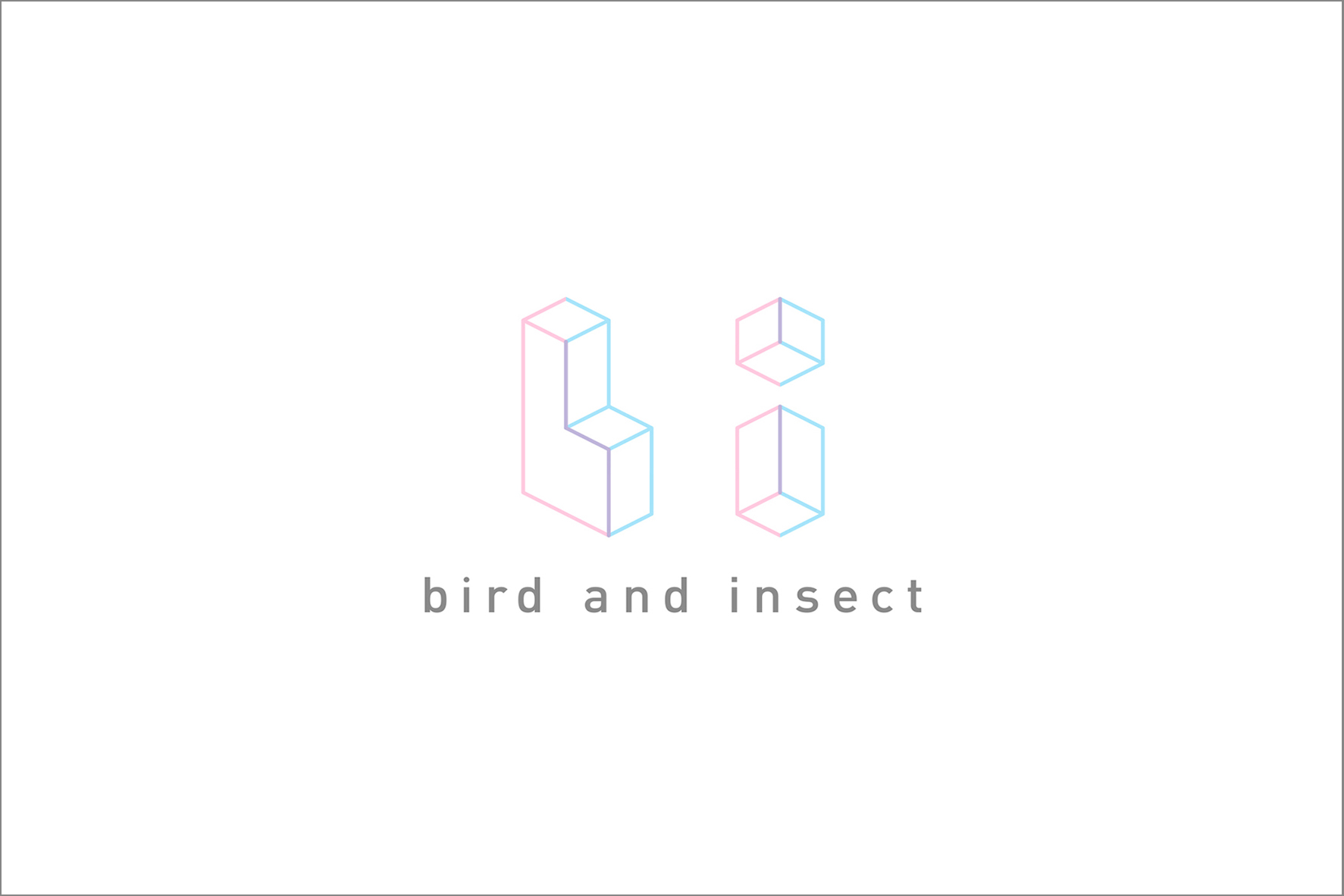 募集 アシスタント インターン募集 Bird And Insect